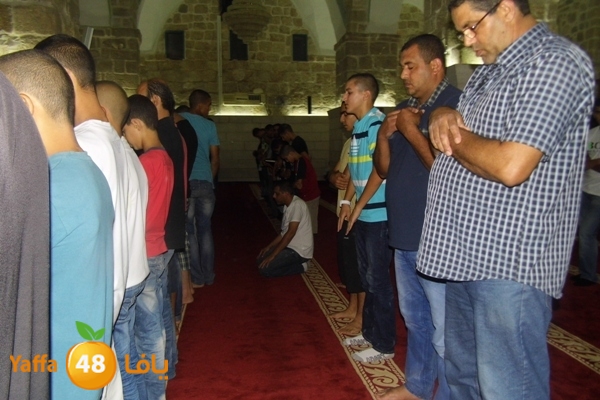 kaber trawe7 718 (17).JPG